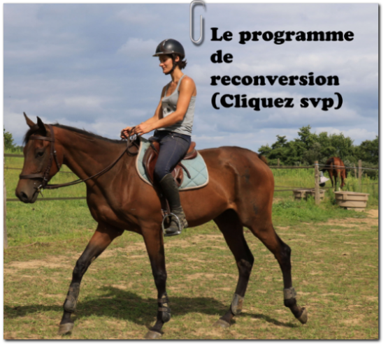 Programme reconversion